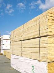 Microshield Mold Pretreatment